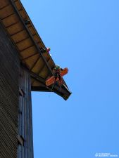 IMG-20260426-WA0033.jpg